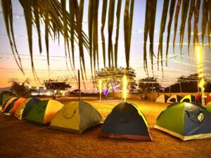 Alibaug New Year Beach Camping