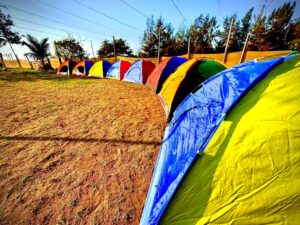 Alibaug New Year Beach Camping