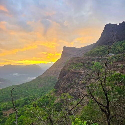 Raigad Save Tours
