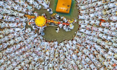 pandharpur wari save tours