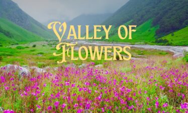 Valley of Flowers & Hemkund Saheb with Badrinath
