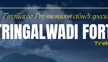 treingalwadi save tours