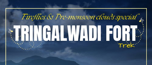 treingalwadi save tours