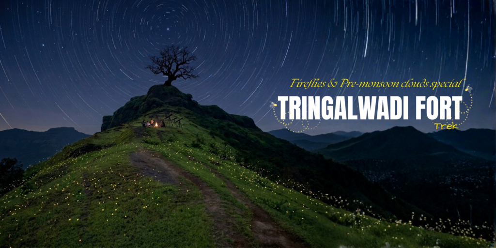 tringalwadi save tours