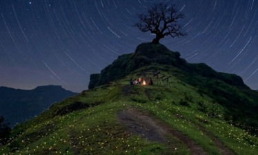 tringalwadi save tours