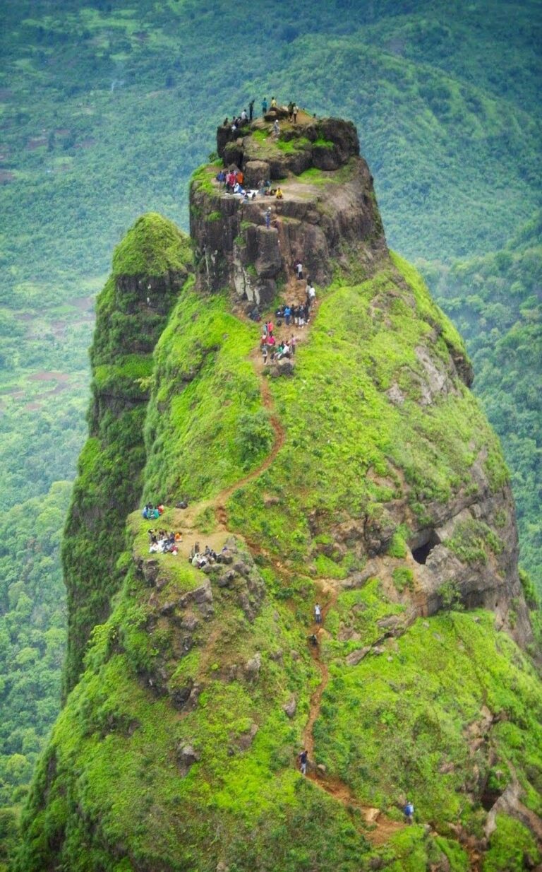 kalavantin durga save tours