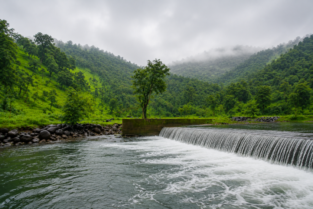 Karoli Valley Trek Save Tours