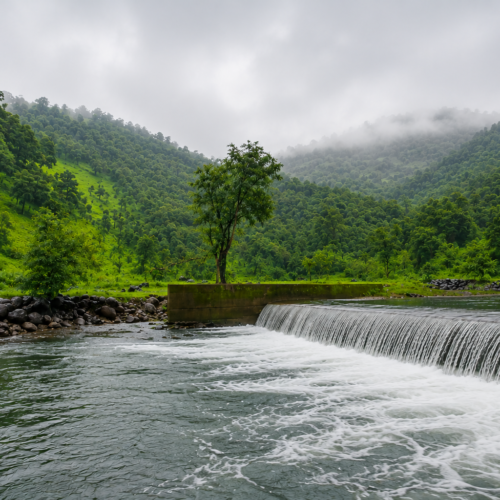 Karoli Valley Trek Save Tours