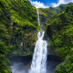 Monsoon Konkan SAVE TOURS