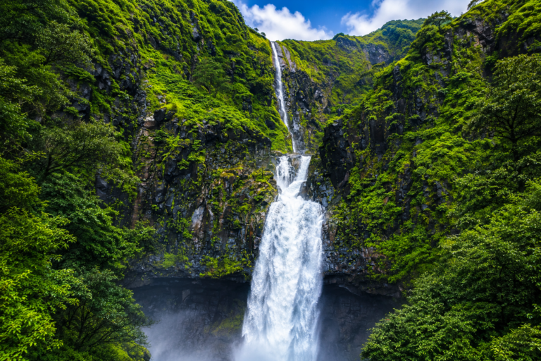 Monsoon Konkan SAVE TOURS
