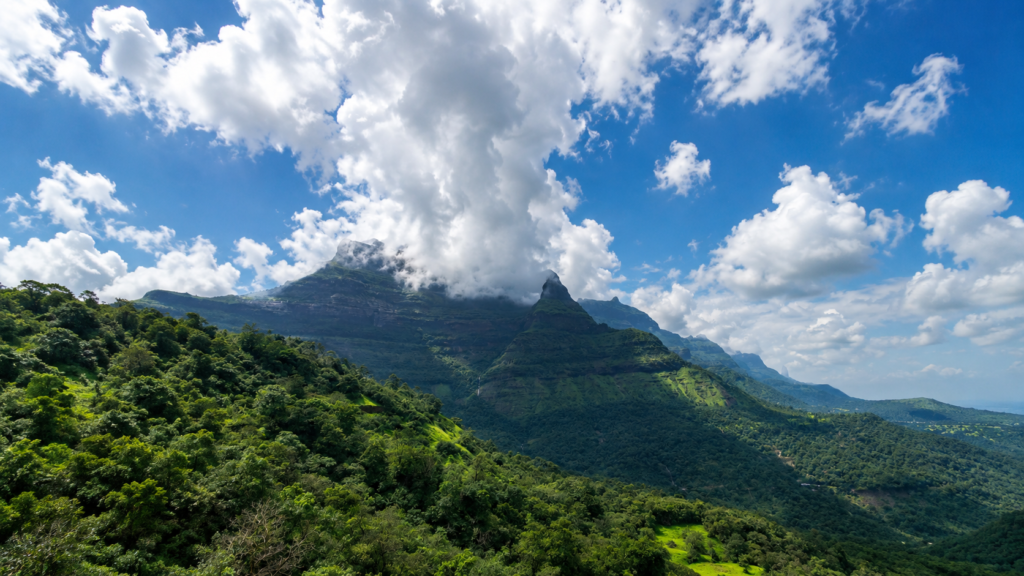 Malshej Ghat Reverse waterfall Save Tours