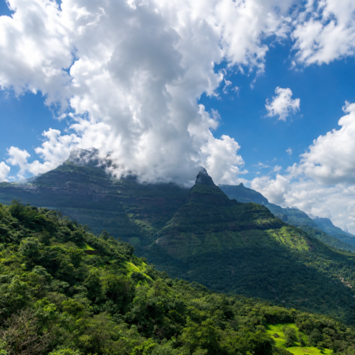 Malshej Ghat Reverse waterfall Save Tours