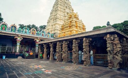 malikarjun save tours