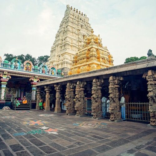 malikarjun save tours