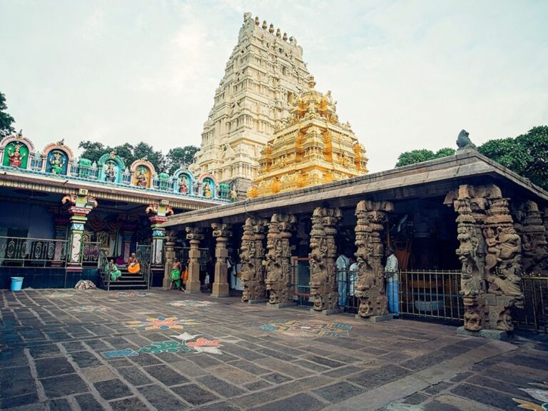 malikarjun save tours