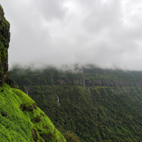 Malshej Ghat Reverse waterfall Save Tours