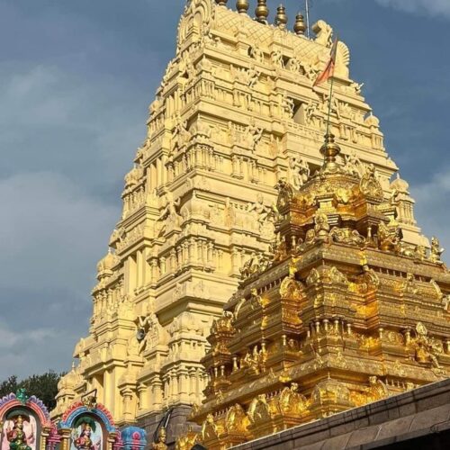 malikarjun save tours