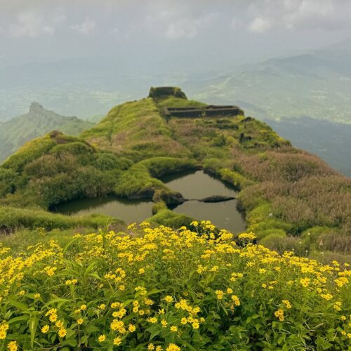 Rajgad Fort Save tours