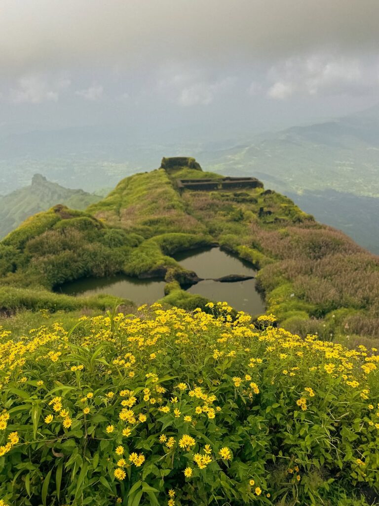 Rajgad Fort Save tours