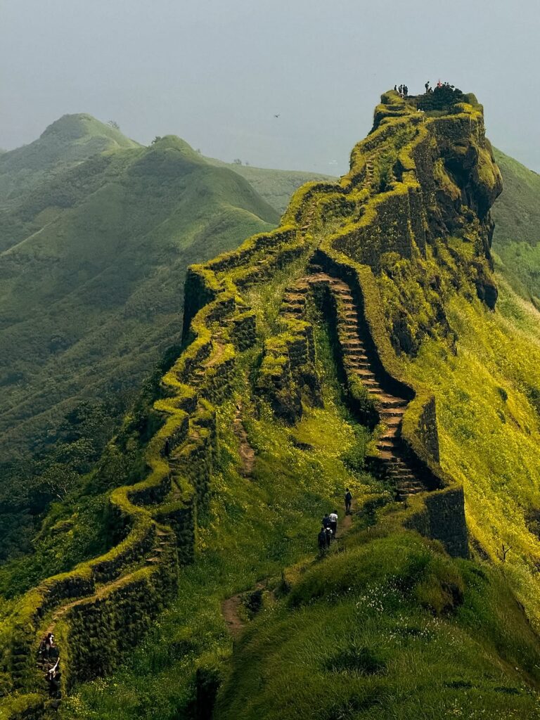 Rajgad Fort Save tours