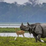 Meghalaya Assam SaveTours