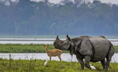 Meghalaya Assam SaveTours