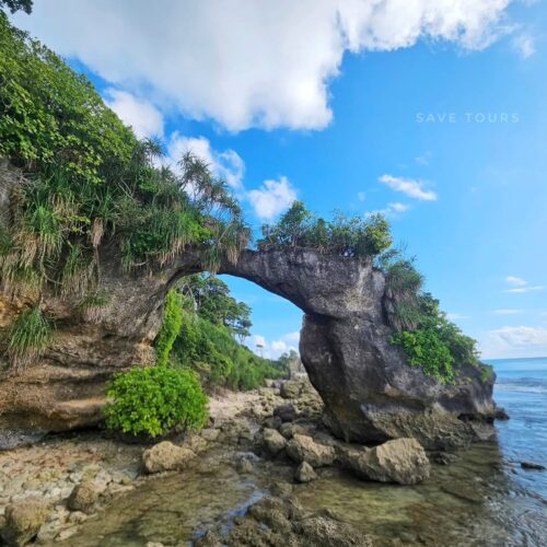 Andaman ( Port Balir- Havlock- Niel Island) Save Tours