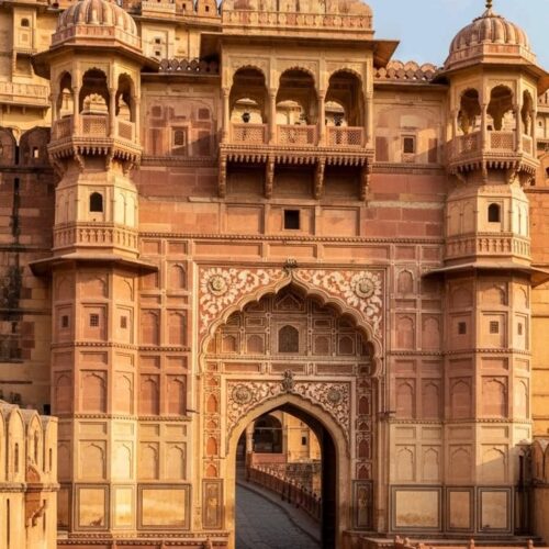 Rajasthan Save Tours