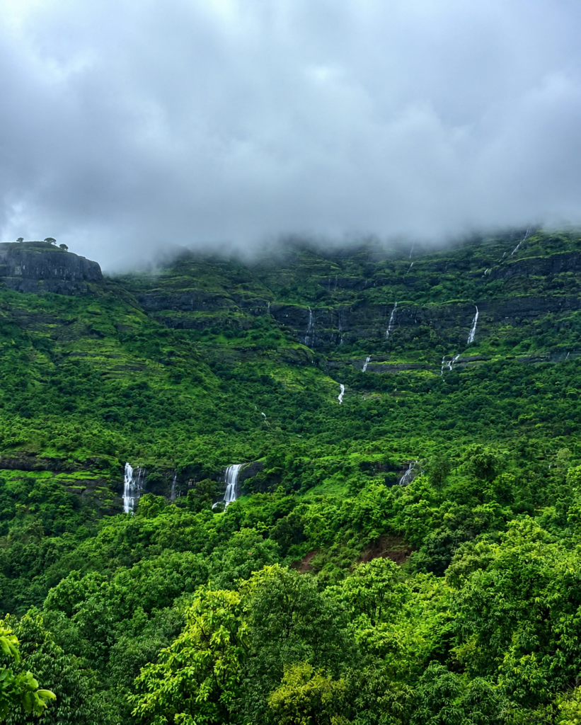 Kalsubai Save tours