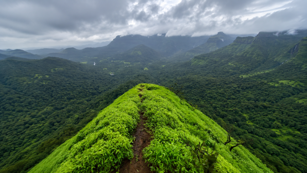 Malshej Ghat Reverse waterfall Save Tours