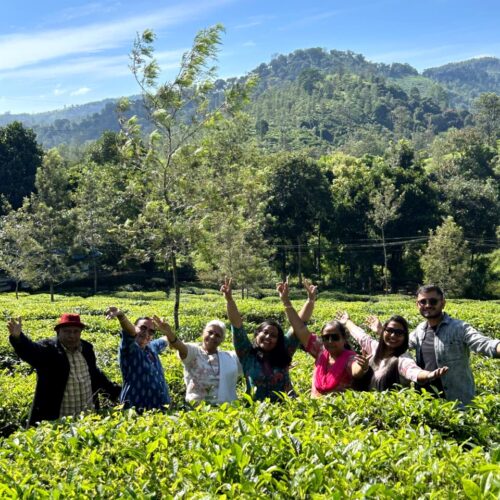 Kerala Tours From Mumbai Save Tours