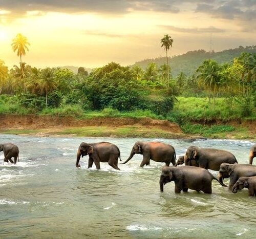 Kerala Customize Tour - Save Tours