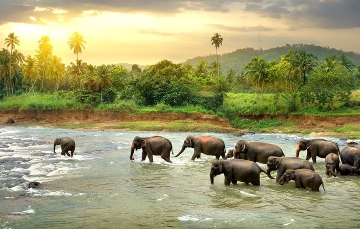 Kerala Customize Tour - Save Tours