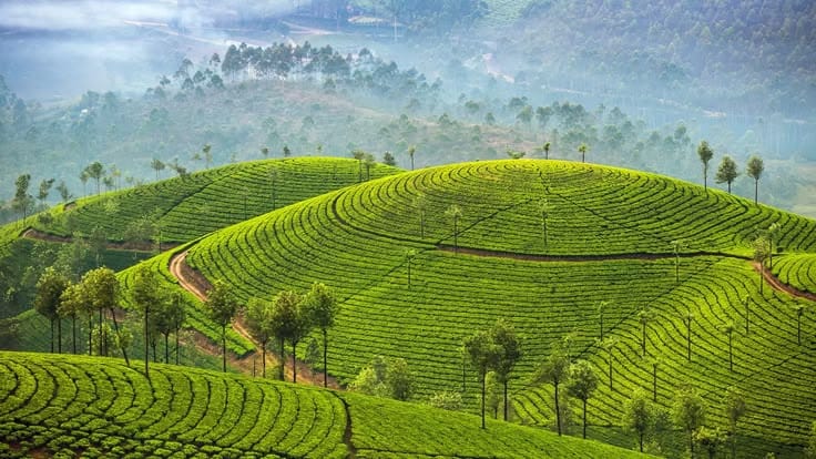 Kerala Customize Tour - Save Tours