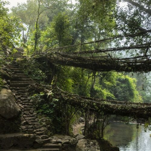Meghalaya Assam SaveTours