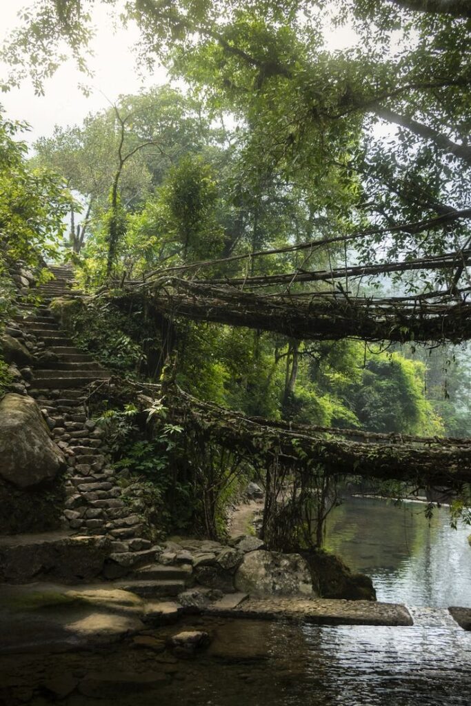 Meghalaya Assam SaveTours