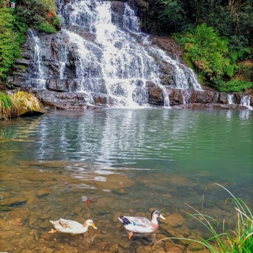 Meghalaya Assam SaveTours