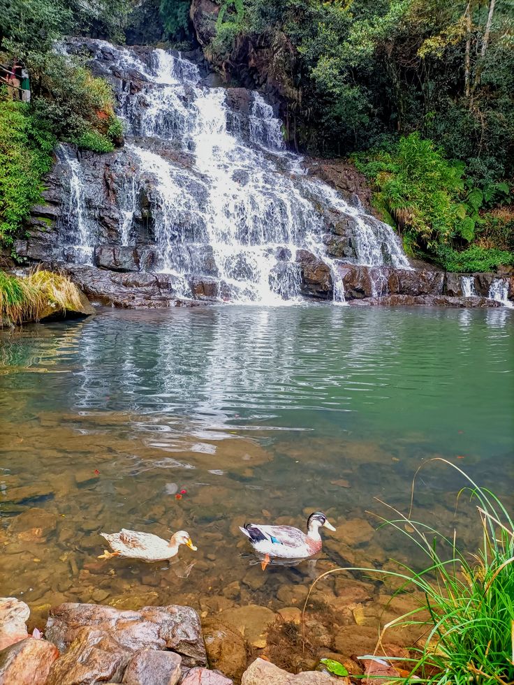 Meghalaya Assam SaveTours
