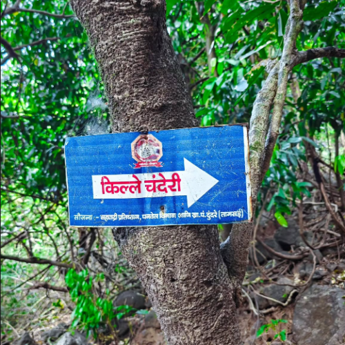 Chanderi Fort Trek Save Tours