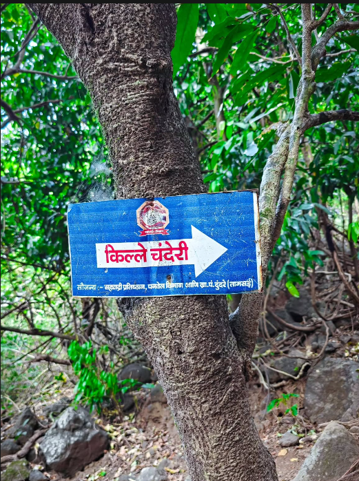 Chanderi Fort Trek Save Tours