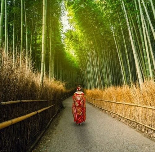 Japan Customize Tour - Save Tours