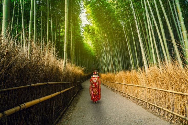 Japan Customize Tour - Save Tours