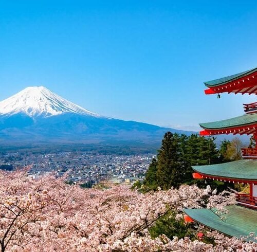 Japan Customize Tour - Save Tours