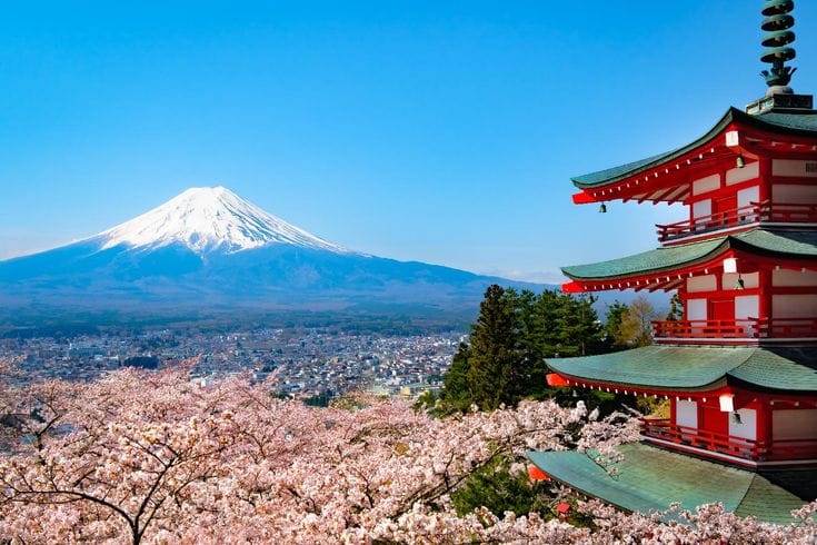Japan Customize Tour - Save Tours