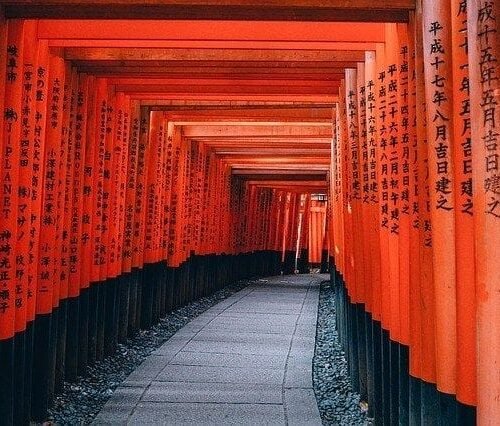 Japan Customize Tour - Save Tours
