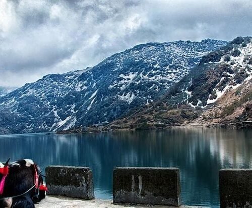 Sikkim Darjeeling Customize Tour - Save Tours