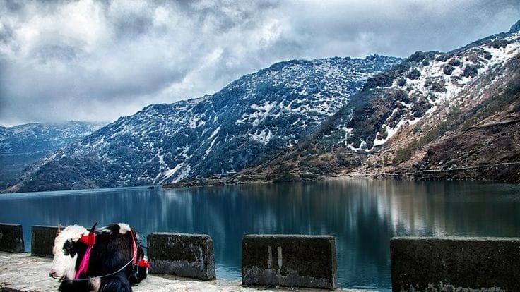 Sikkim Darjeeling Customize Tour - Save Tours