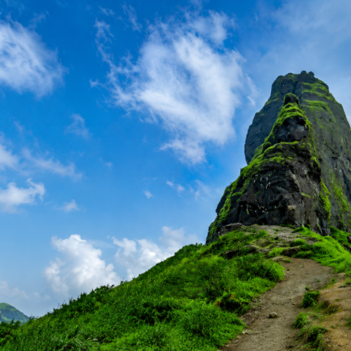 Chanderi Fort Trek Save Tours