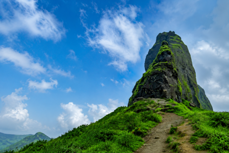 Chanderi Fort Trek Save Tours