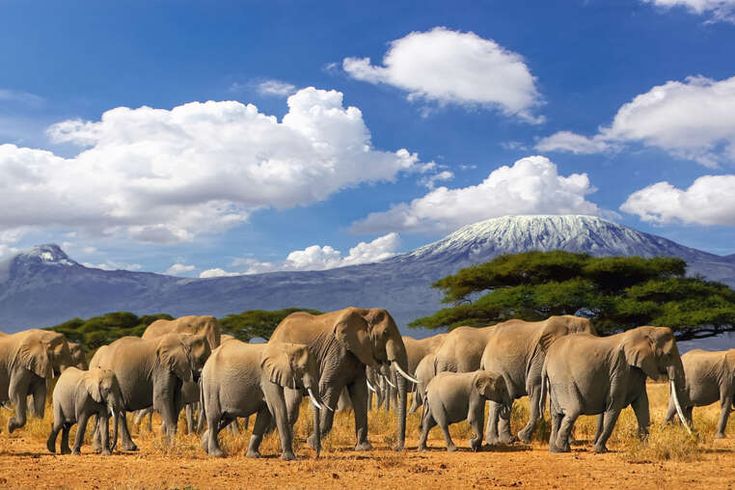 Kenya Customize Tour - Save Tours